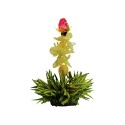 Reflet de jade