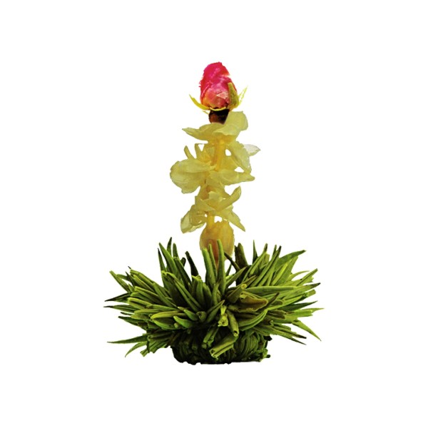 Reflet de jade