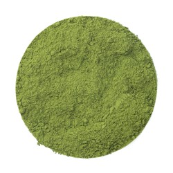 Matcha Shimizu