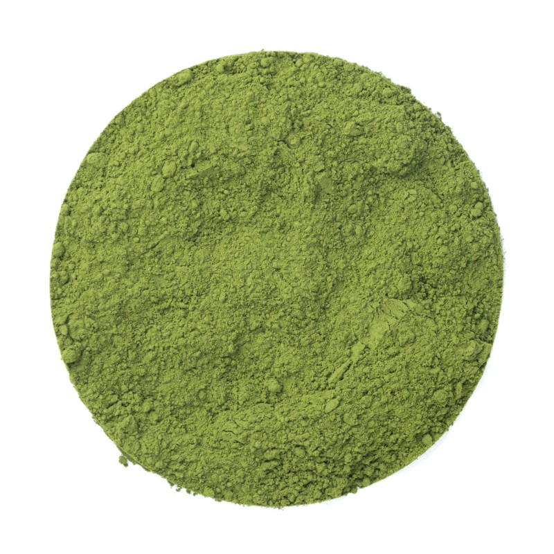 Matcha Shimizu