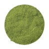 Matcha Shimizu