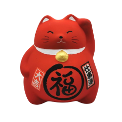 Chat costaud rouge