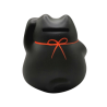 Chat costaud noir