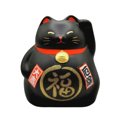 Chat costaud noir