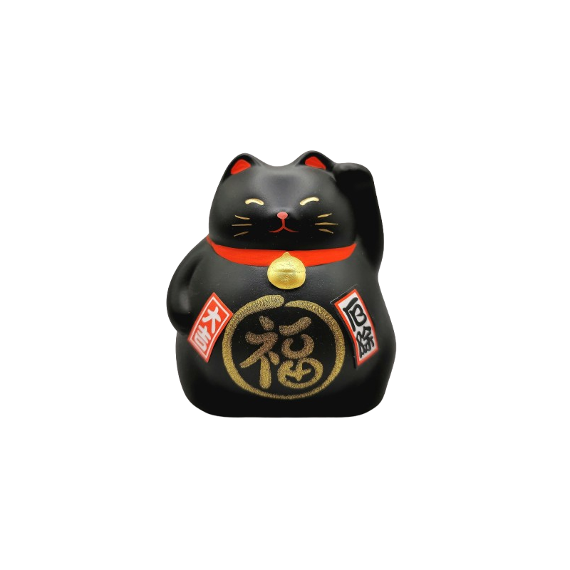 Chat costaud noir