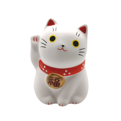 Chat blanc