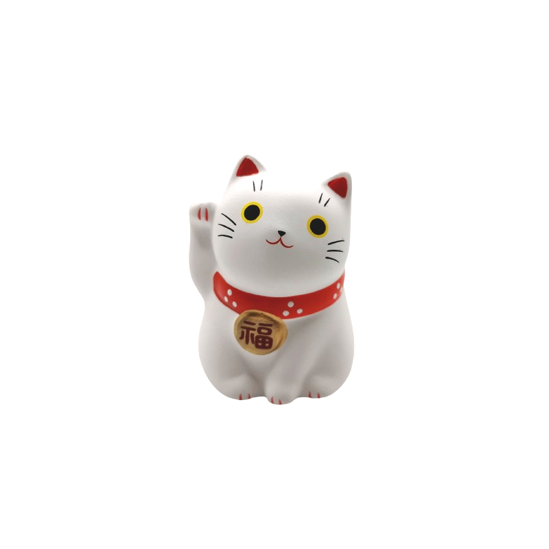 Chat blanc