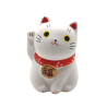 Chat blanc