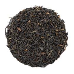 Tarry Souchong Crocodile