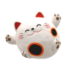 Chat rond