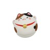 Culbuto Chat