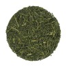 Sencha Kirishima