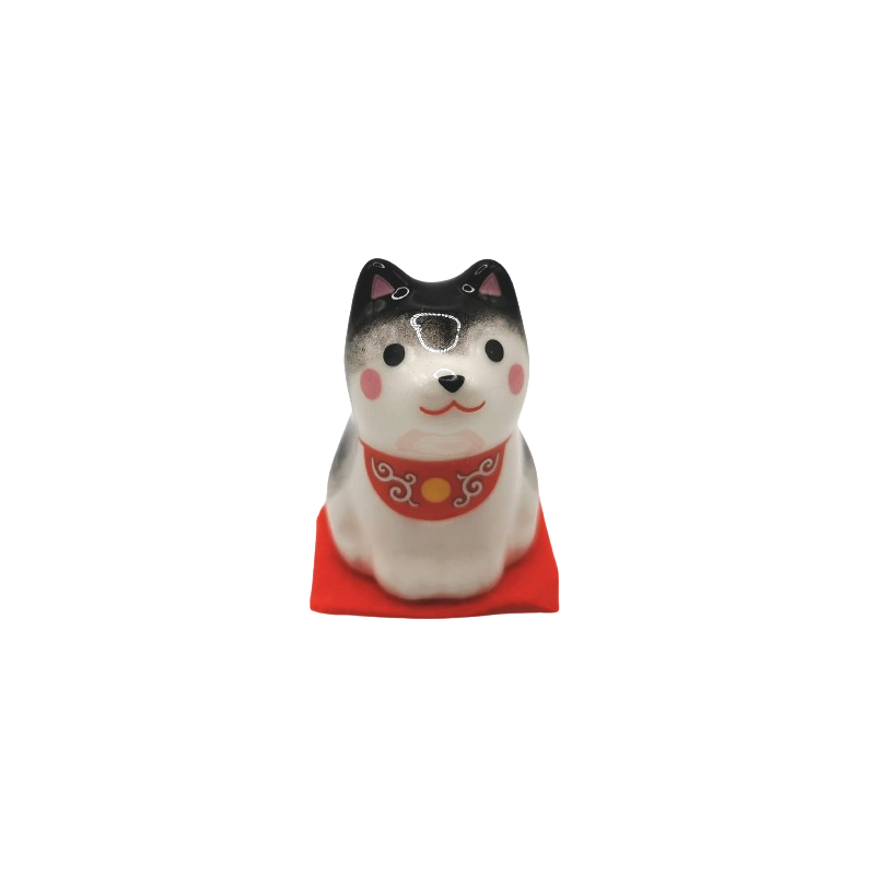 Shiba noir collier rouge